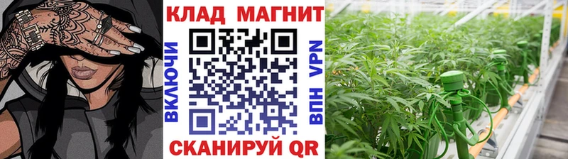 Купить закладку Елизаветинская А ПВП  МЕТАМФЕТАМИН  Амфетамин  COCAIN  Марихуана 